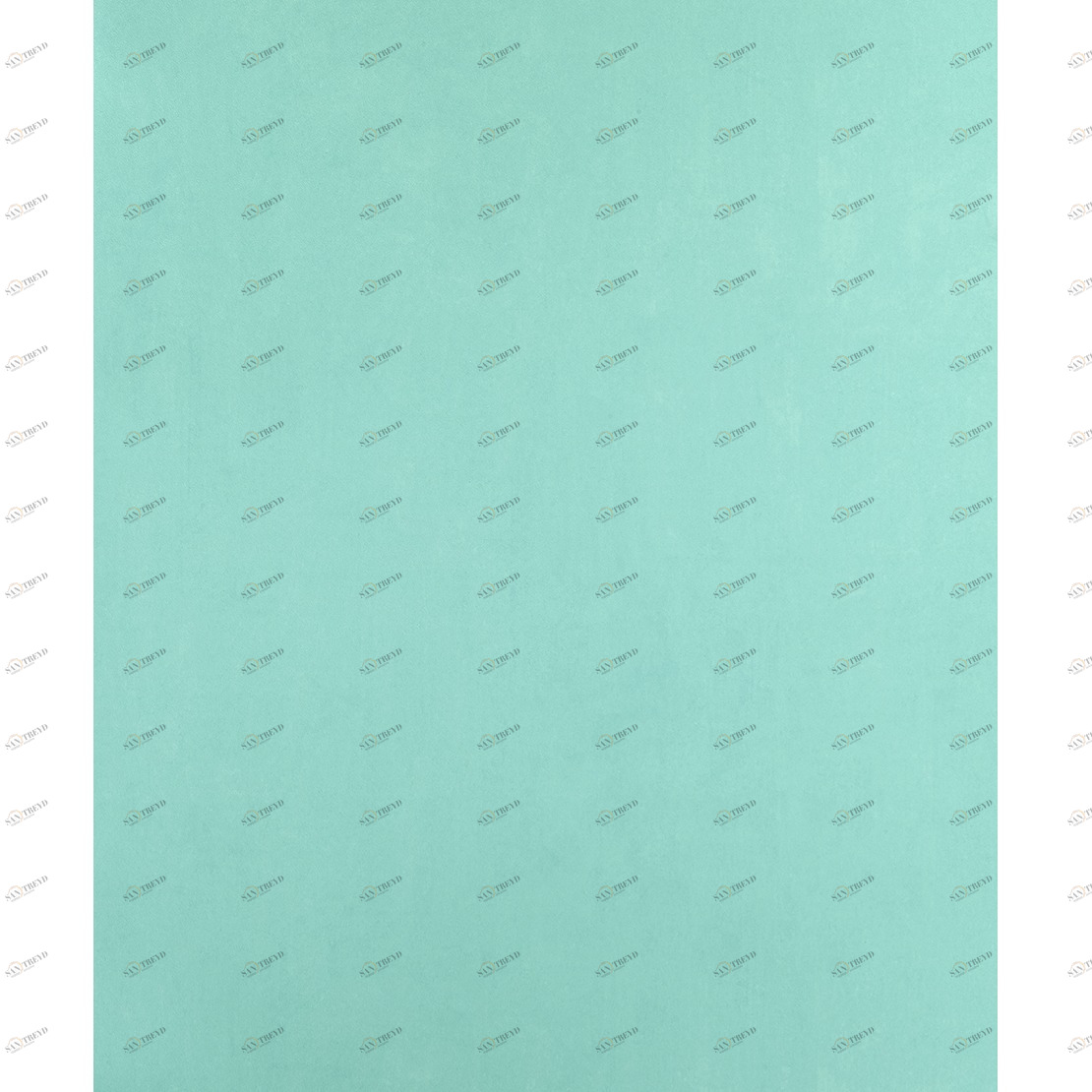 Рулон обоев ALICE & PAUL AEP25406151. Основа Casadeco