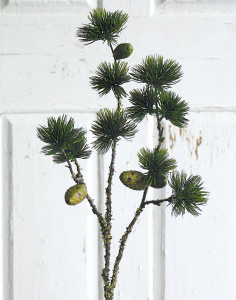 1790 883 a3 Лиственница ложная кустовая с шишками, 84 см, зеленая H-andreas