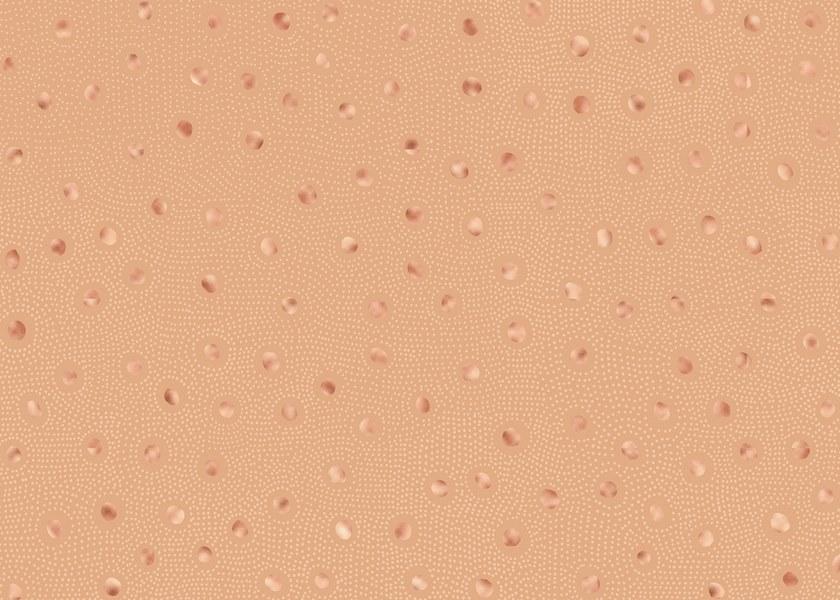 Affreschi & Affreschi Рулонные экологические гипсовые обои Season 1 Kw0102c - Вид №1