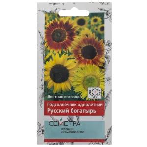 Подсолнечник однолетний «Русский богатырь»