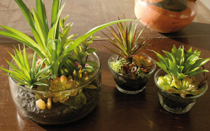 6031 883 a3 Искусственные суккуленты-микс в стеклянном горшочке, 13 см, зеленый H-andreas