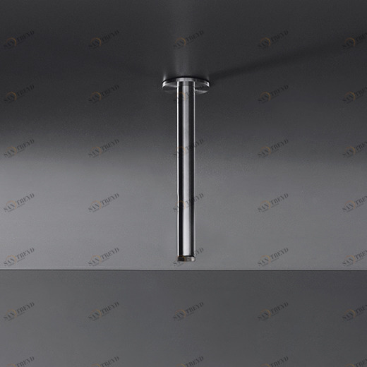Потолочные душевая консоль H. макс. 205 мм  BRA02 CEADESIGN 