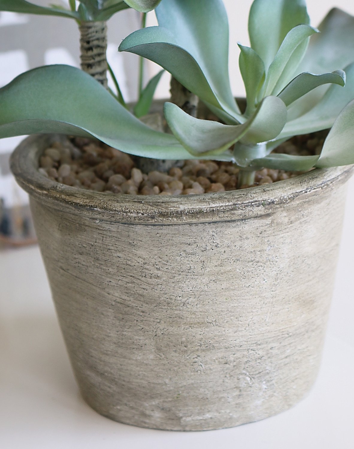 6046 883 a3 Искусственный суккулент, горшок, 25 см, зеленый H-andreas  - Вид №1