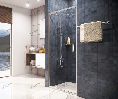 Berkel 48P12 Душевая дверь Santreyd 