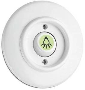 THPG Переключатель Duroplast® с флуоресцентной кнопкой  100982