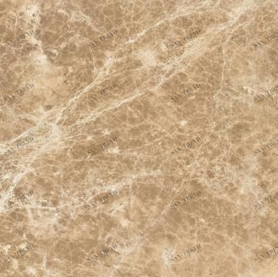 Emperador Light PG6098 60х60 IRIS Ceramica sun-id-312607