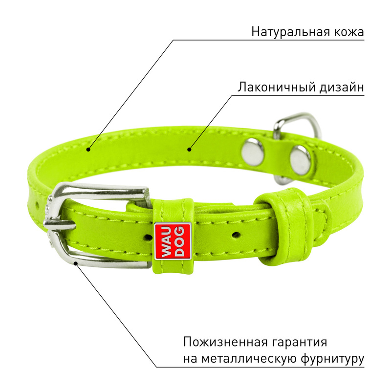 ПР0053773 Ошейник для собак Waudog Glamour без украшений (ширина 12мм, длина 21-29см) зелёный COLLAR  - Вид №3