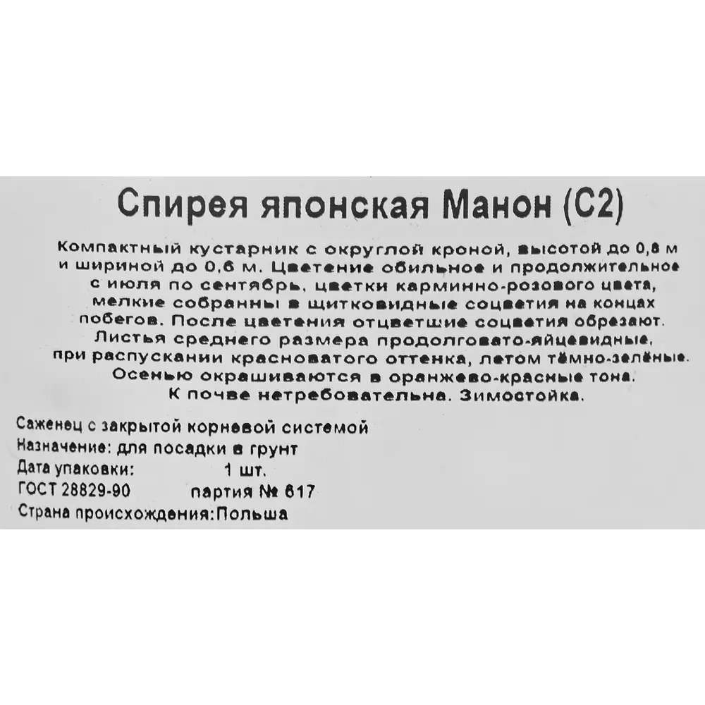 Спирея японская Манон ø17 h30 см 85325005 STLM-2019855 Santreyd  - Вид №2