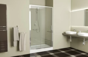 Душевая дверь в нишу, одна раздвижная дверь LINE BD120.4101A bravat