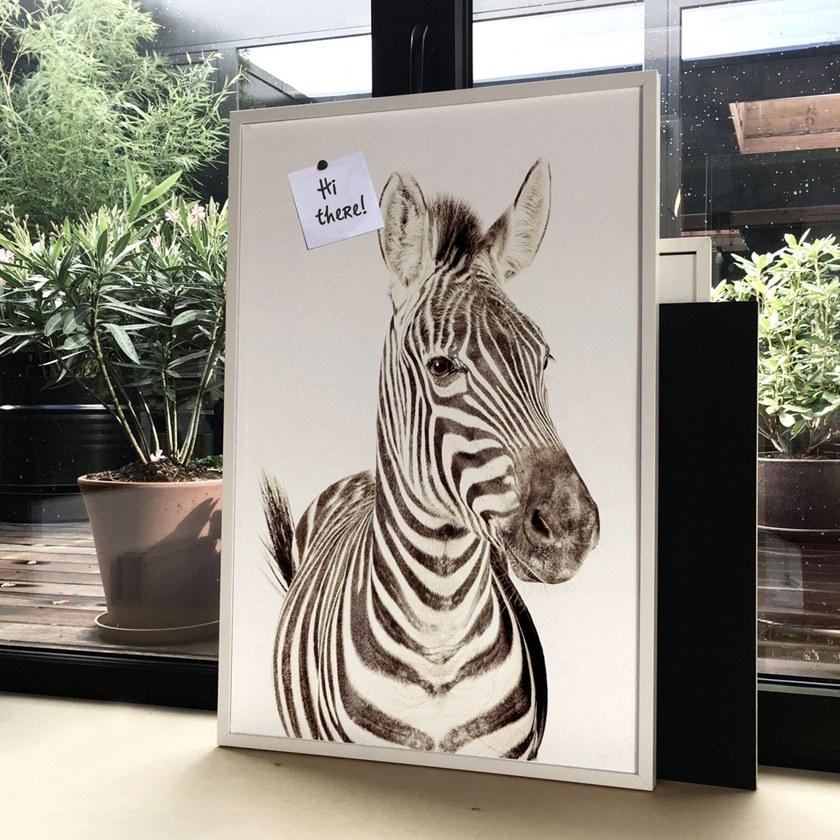 Groovy Magnets Магнитный плакат Animal Pos-62-z - Вид №5