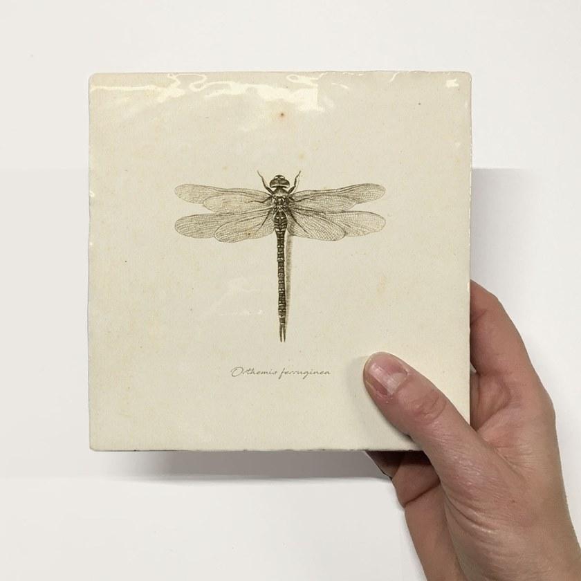 Groovy Magnets Настенный декоративный предмет из керамики Tiles M-tile-dr - Вид №1