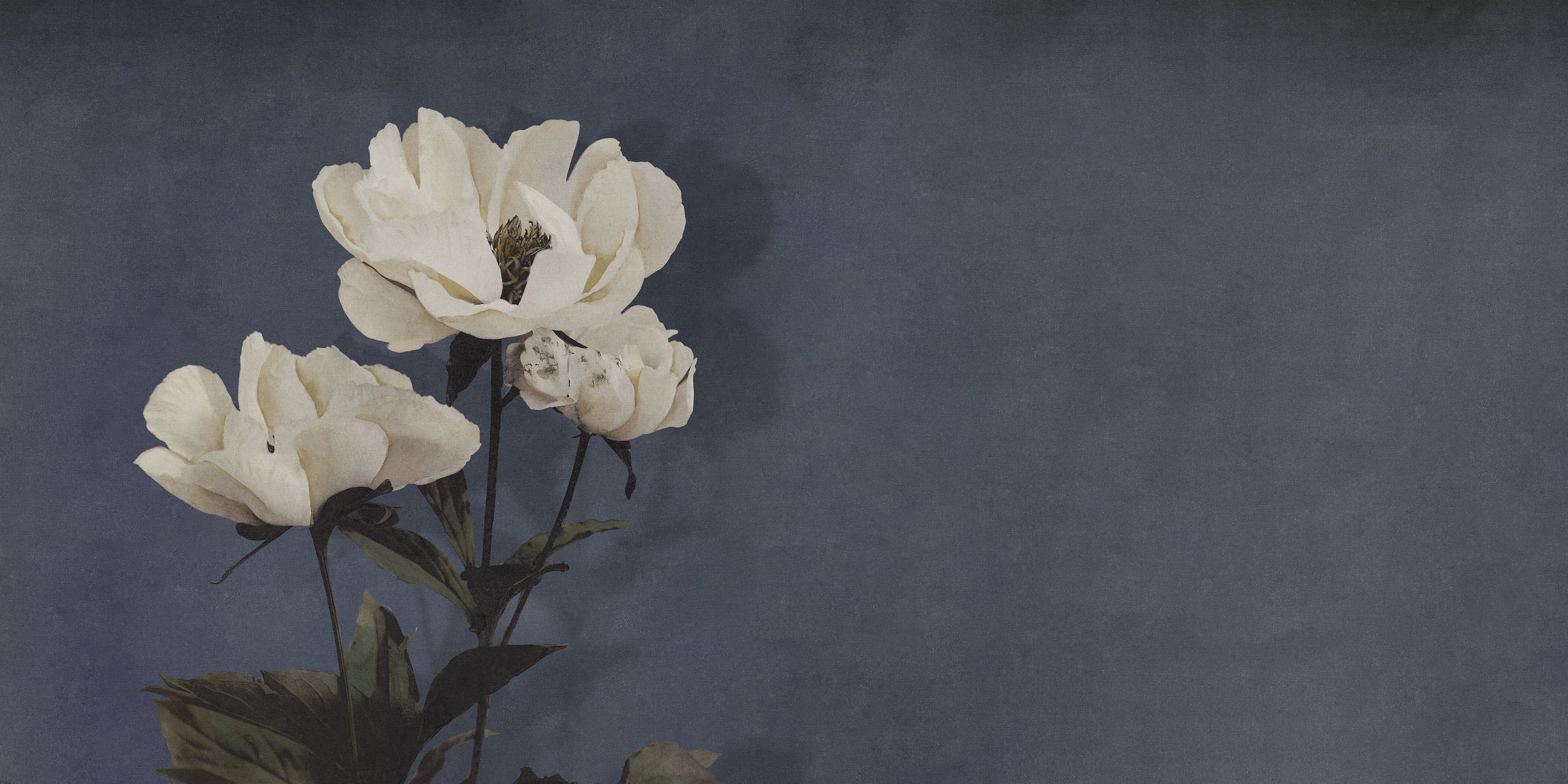 Обои с цифровой печатью Inkiostro Bianco Monochrome ARCH-00138311 - Вид №2