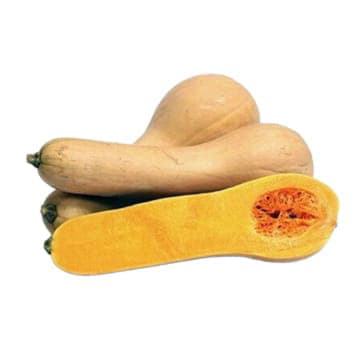 Тыква Гитара 1 - 4 кг Santreyd 24506 - Вид №1