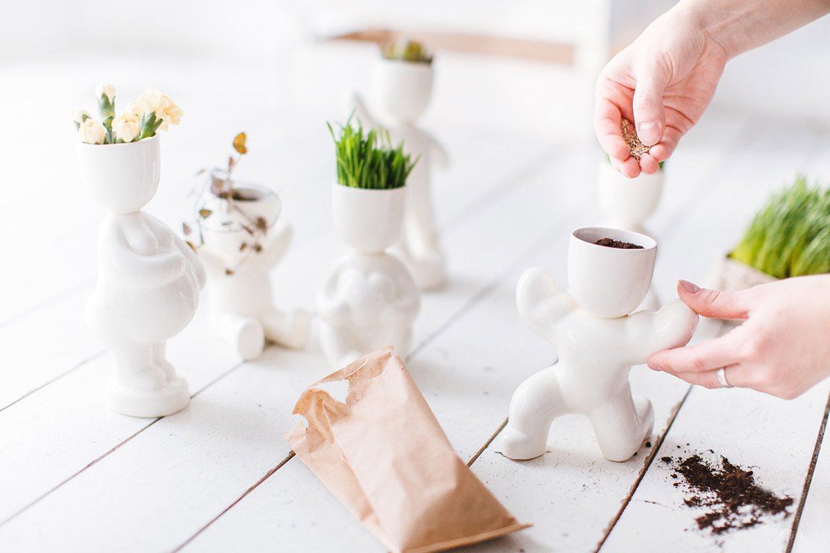 Набор для выращивания Eco Атлет ЭКОЧЕЛОВЕКИ 1005 - Вид №4