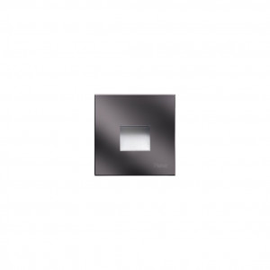 5002899 Светильник встраиваемая в стену / Наружнее освещение Platek SPY SMALL  SPY SMALL - LED 2700K Asymmetrical