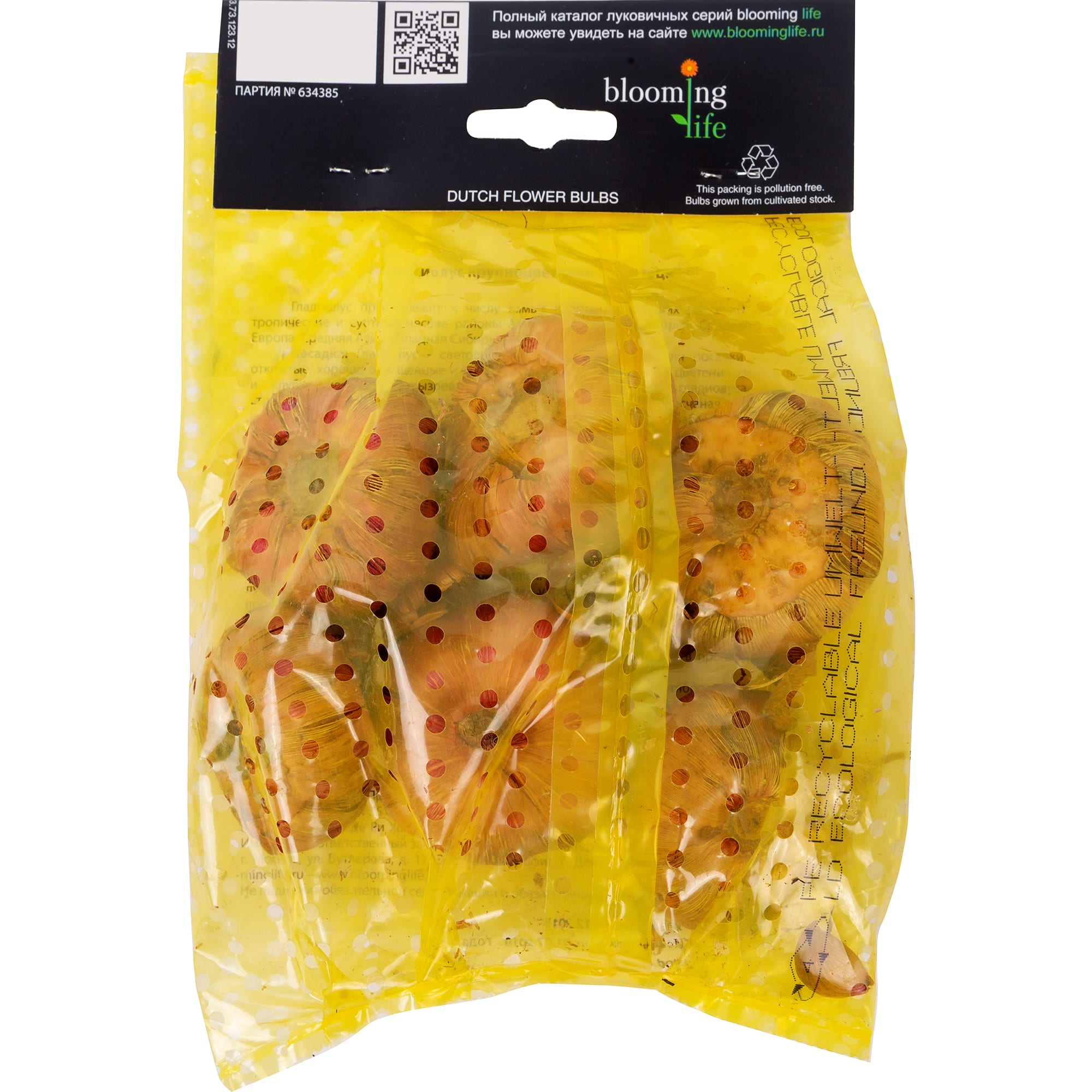 81945919 Гладиолус крупноцветковый «Липецк» Santreyd  - Вид №1