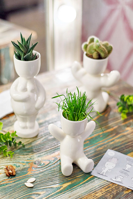 Набор для выращивания Eco Малыш ЭКОЧЕЛОВЕКИ 1002 - Вид №5