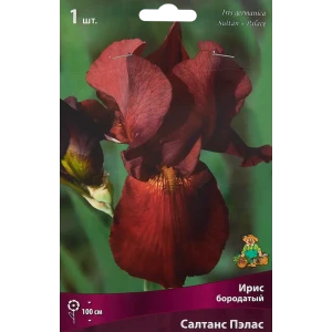 Ирис бородатый Салтанс Пэлас 85186003 STLM-2208838