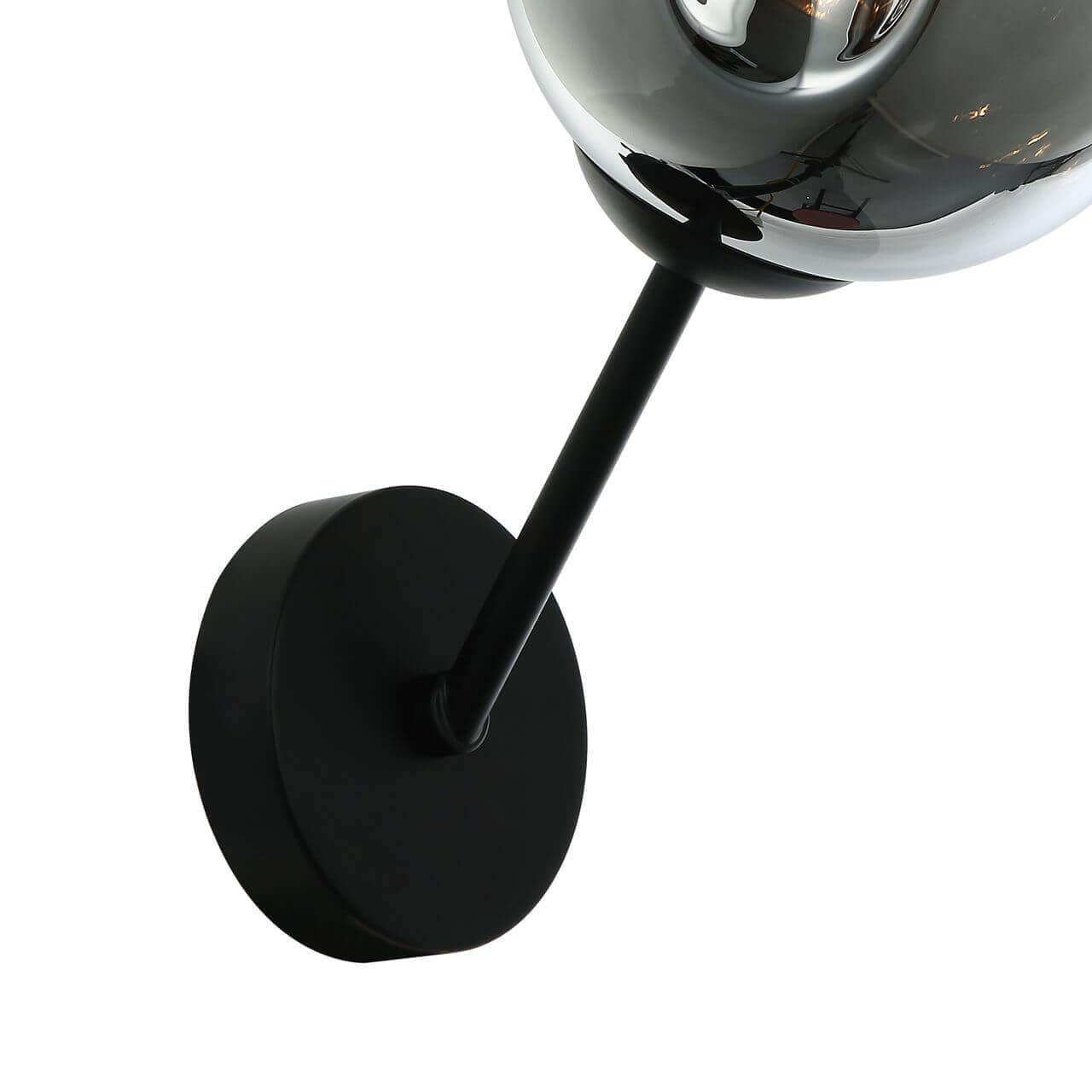Бра настенное серое Favourite Traube 2359-1W FAVOURITE ФЛОРИСТИКА 00-3929574 Серый  - Вид №1