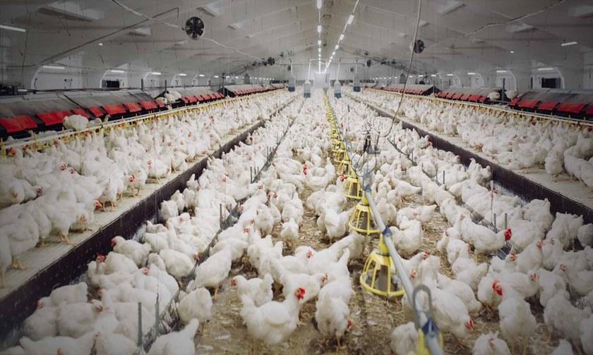 Gazebo Емкость для сбора сточных вод sun-id-1425334 - Вид №3