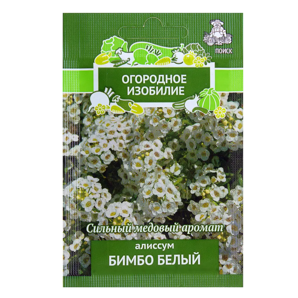 Алиссум «Бимбо» цвет белый ПОИСК STLM-2077478