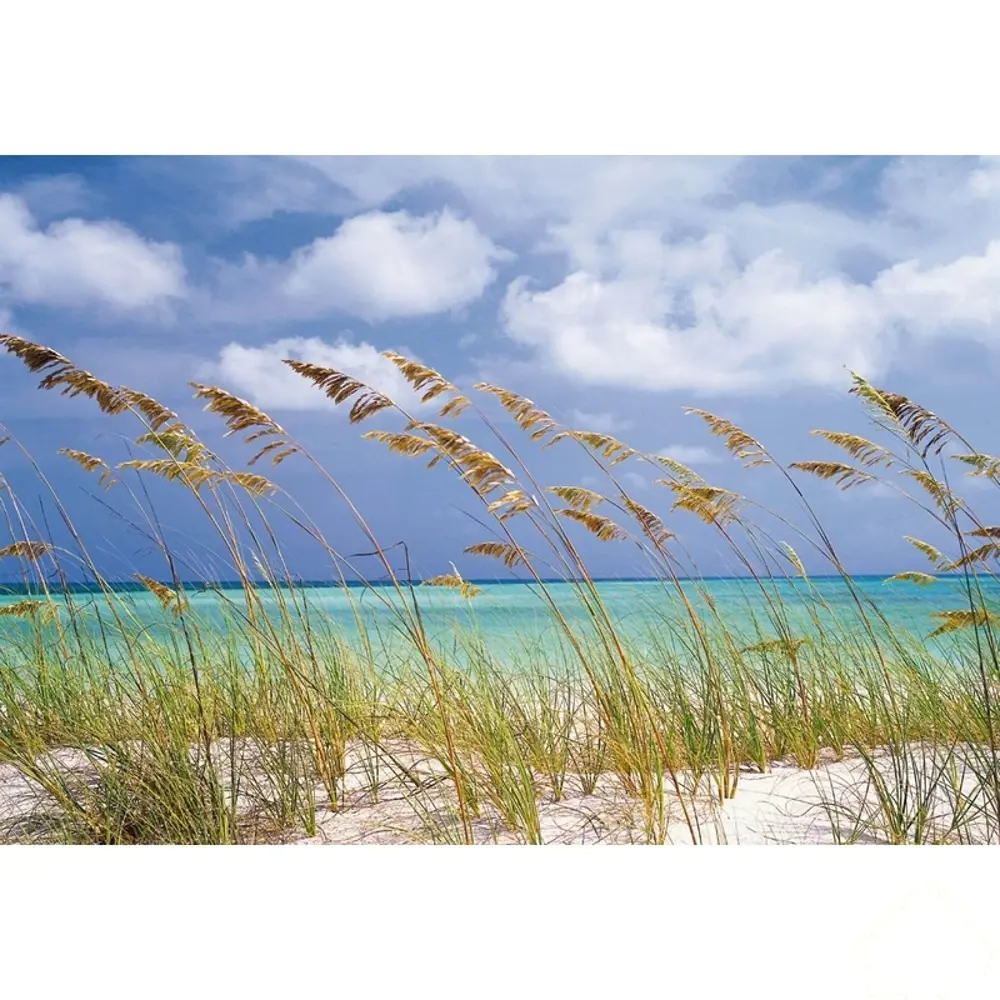 Фотообои бумажные, 368x254 см, KOMAR Бриз STLM-2199140