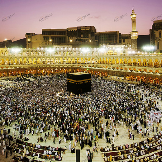 C1-195 Фотообои DIVINO Collection C 2.7х2 м C1195