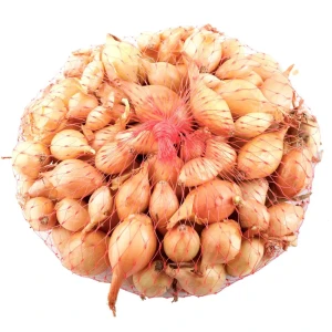 Лук-севок Сеттон 0.5 кг - качественный посадочный материал 89047696