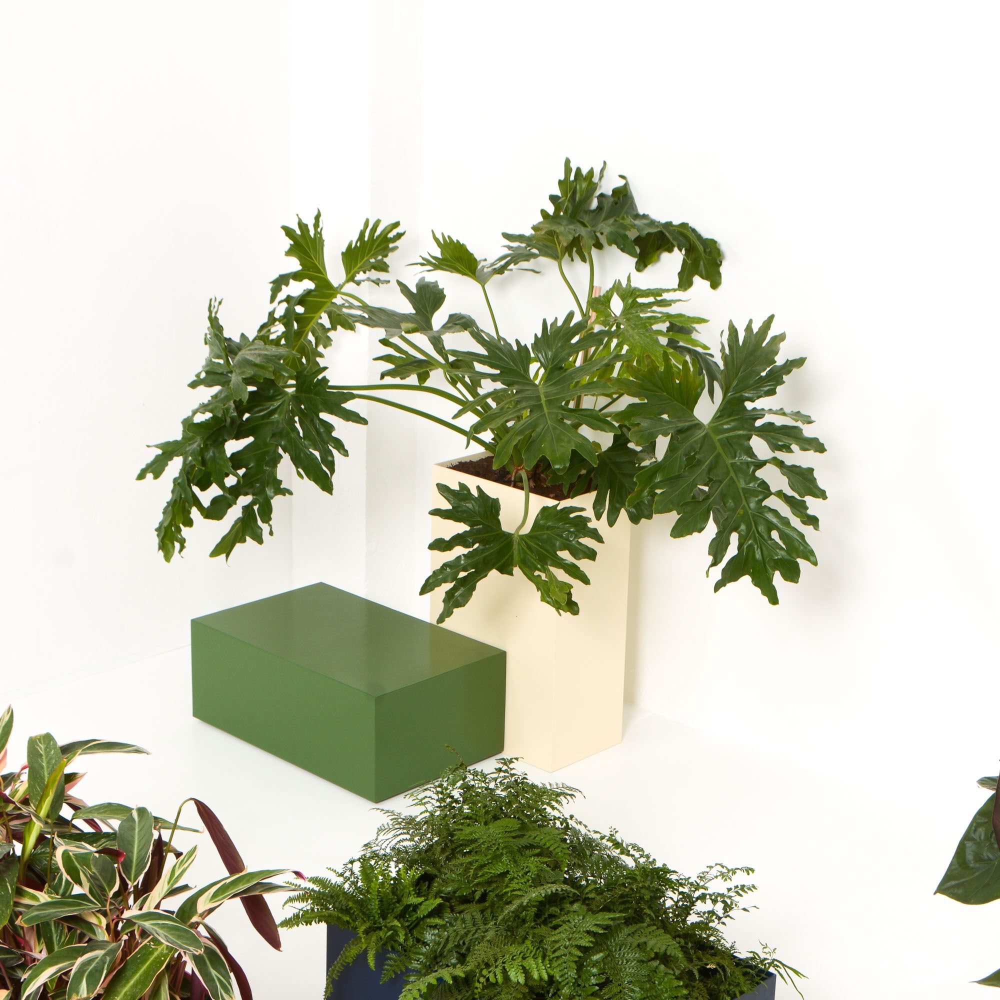 Высокая алюминиевая сеялка с порошковым покрытием SIXINCH PLANTER ARCH-00090881 - Вид №7