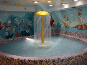 Happy Sauna Бассейн с водопадом