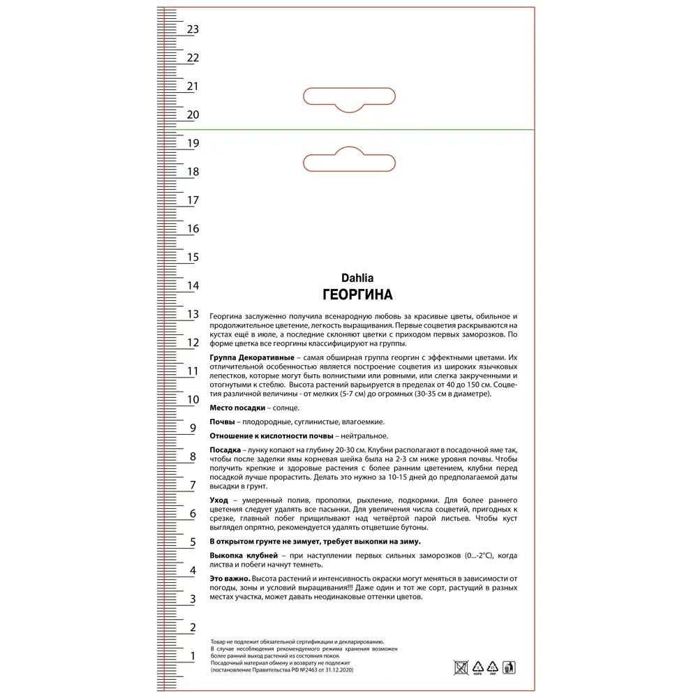 Георгина декоративная Шорт-Трек ПОИСК STLM-2019405 - Вид №1