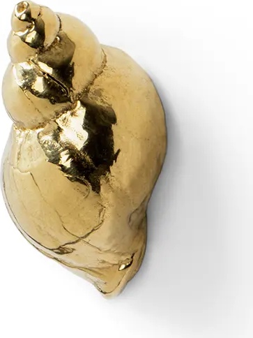 OC2022 Natica PULLCAST Ocean Collection 