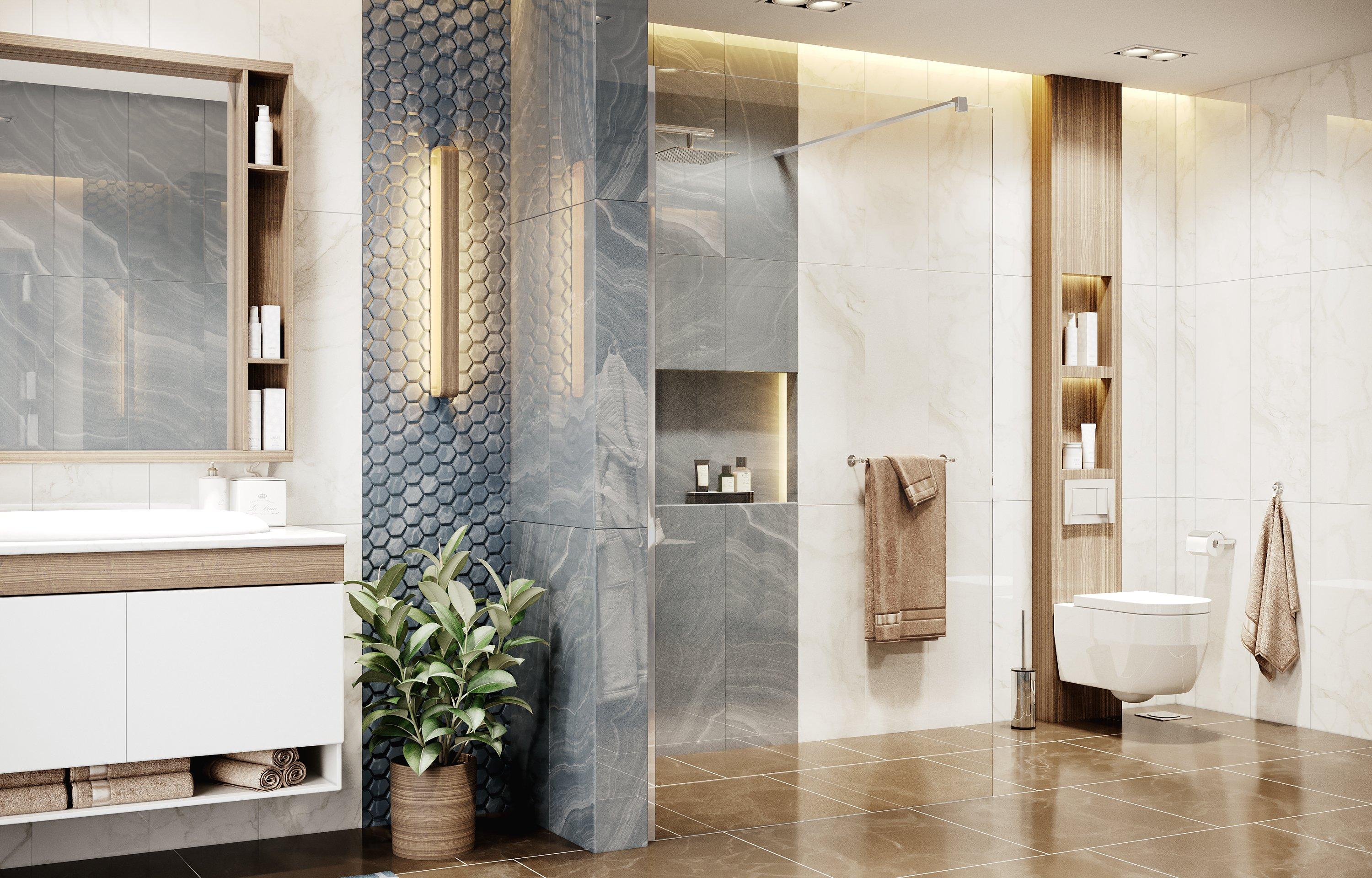 Душевая перегородка Ambassador Waik-in 15031103 (1100x2000), 1 место Walk-in - Вид №3