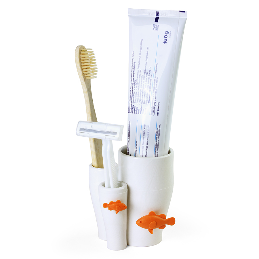 QL10339-WH Держатель для зубной щетки coral Qualy  - Вид №2