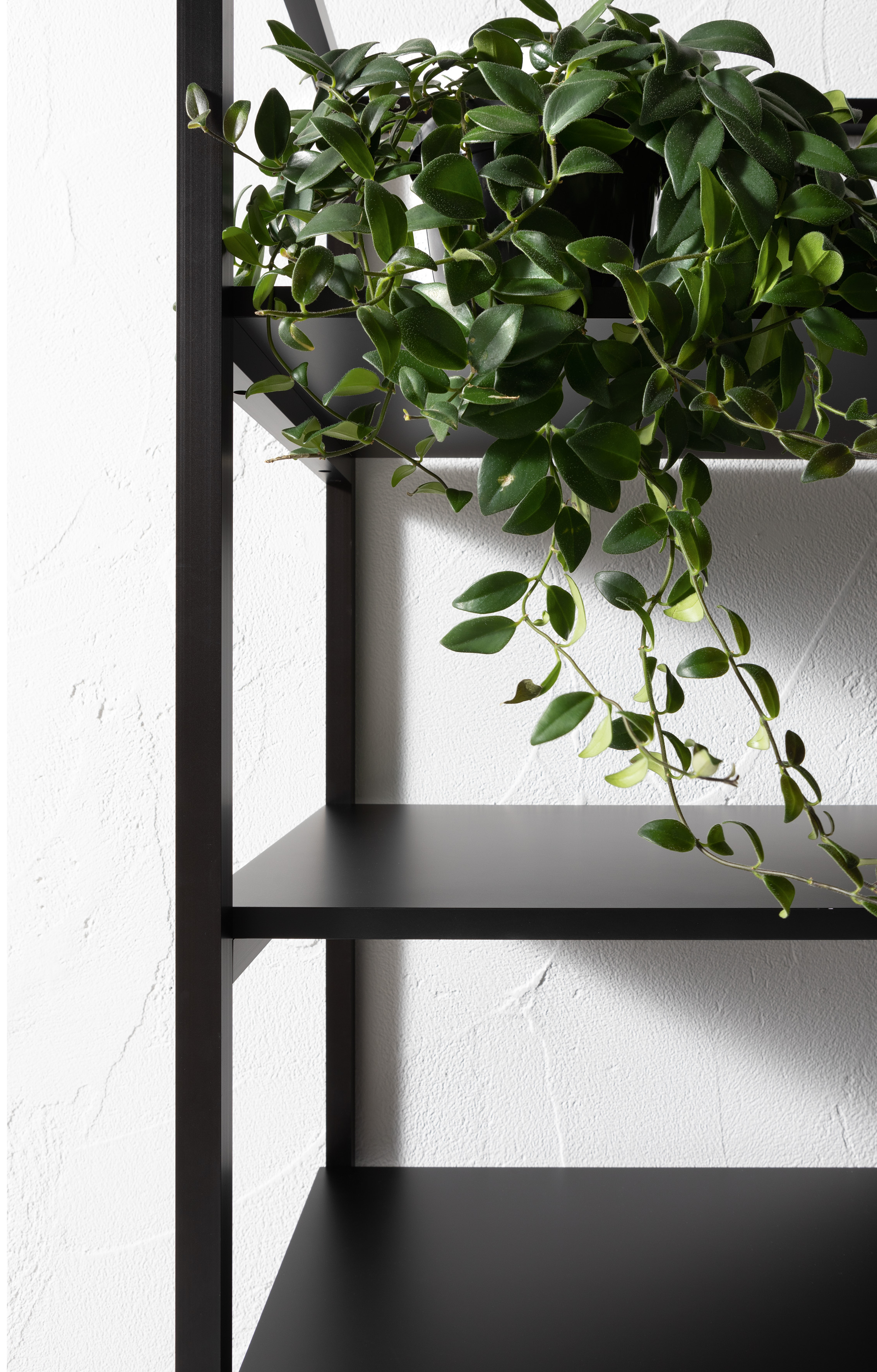 LA13 A/B Compabit Lab60 2019  - Вид №5