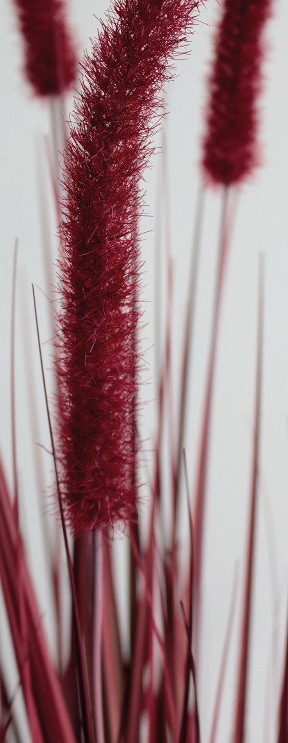 4868 498 a3 Искусственный пучок травы 'Chinese fountain grass' в горшке, 90 см, бордово-зеленый H-andreas  - Вид №9