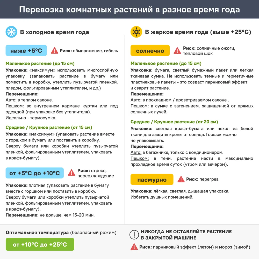 Кактус с сухим цветком микс ø5.5 h8 см 89434565 STLM-2015877 Santreyd  - Вид №5