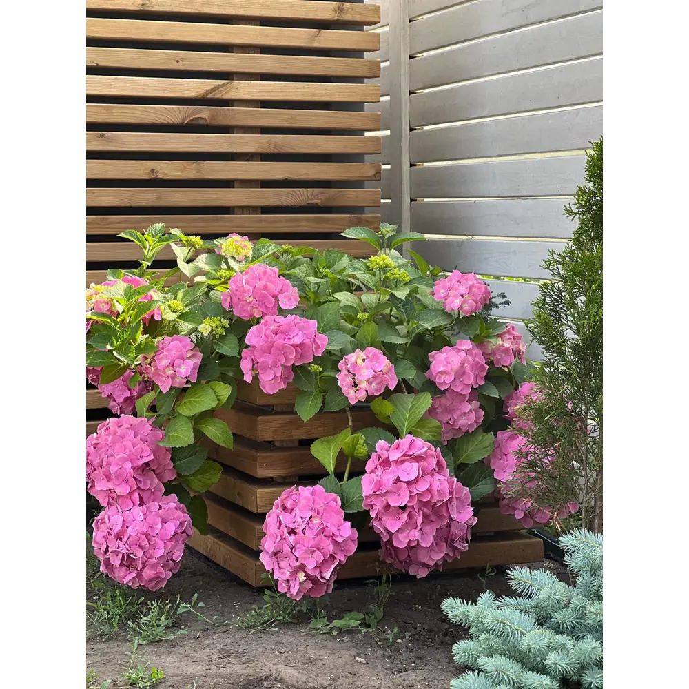 Брусок строганый импрегнированный 45x70x3000 мм хвоя ФГИС ЛК РУСШПАЛА STLM-2119912 - Вид №8