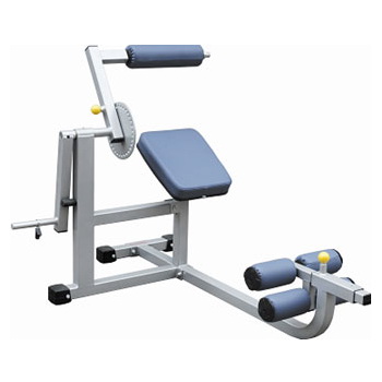 IFABM Aerofit if/sg ifabm тренажер, нагружаемый дисками, для спины и пресса AeroFIT IF серия 