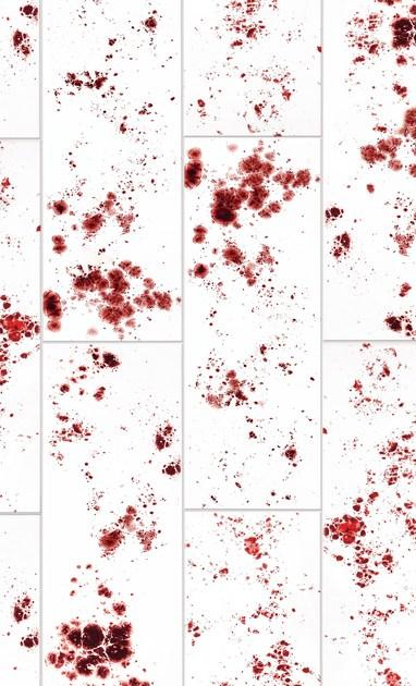 Danilo Ramazzotti Внутренняя облицовка майоликой Inchiostro simpatico Is5d - Вид №2