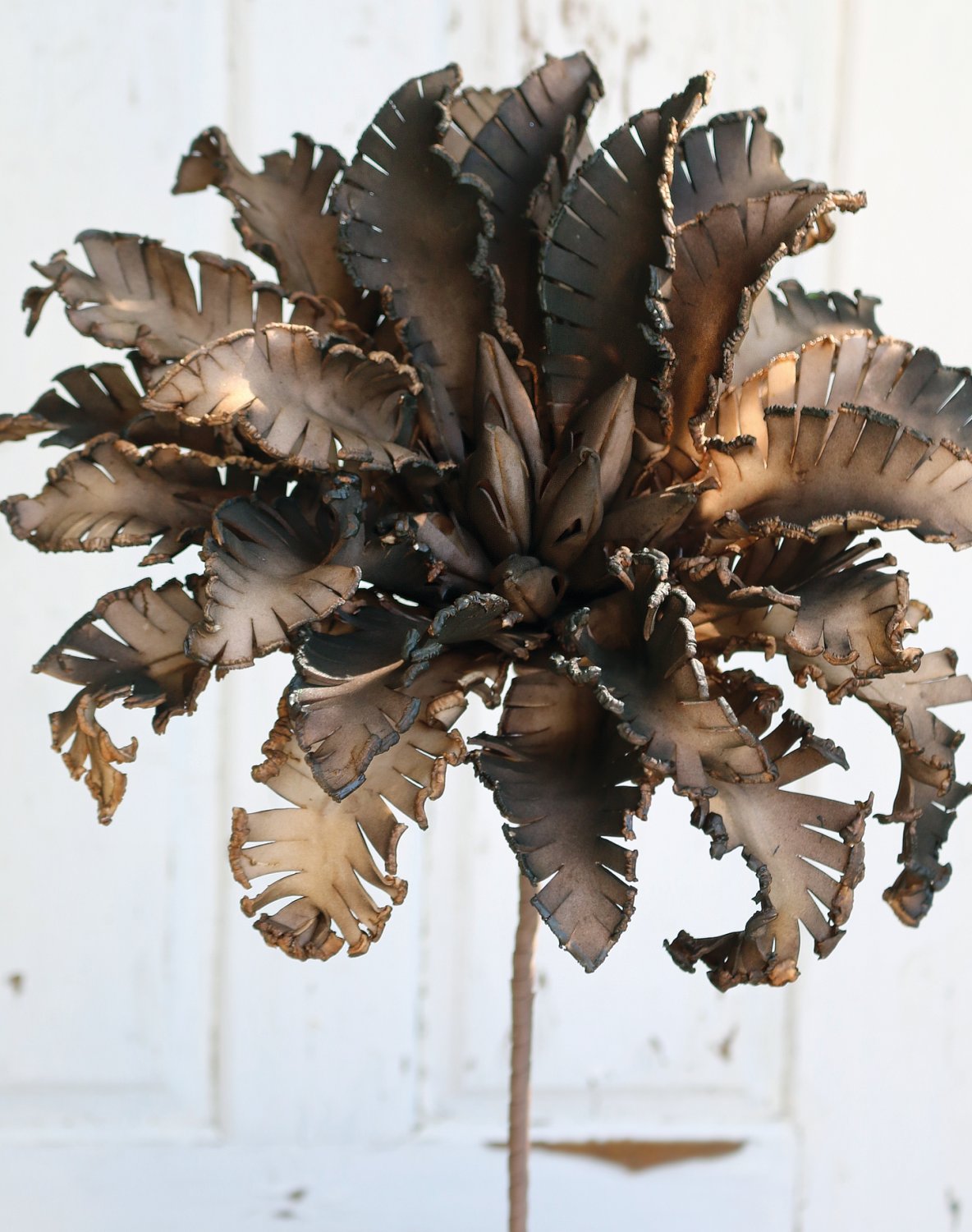 7997 666 a3 Искусственный мягкий цветок 'Blossom', 80 см, коричневый H-andreas 