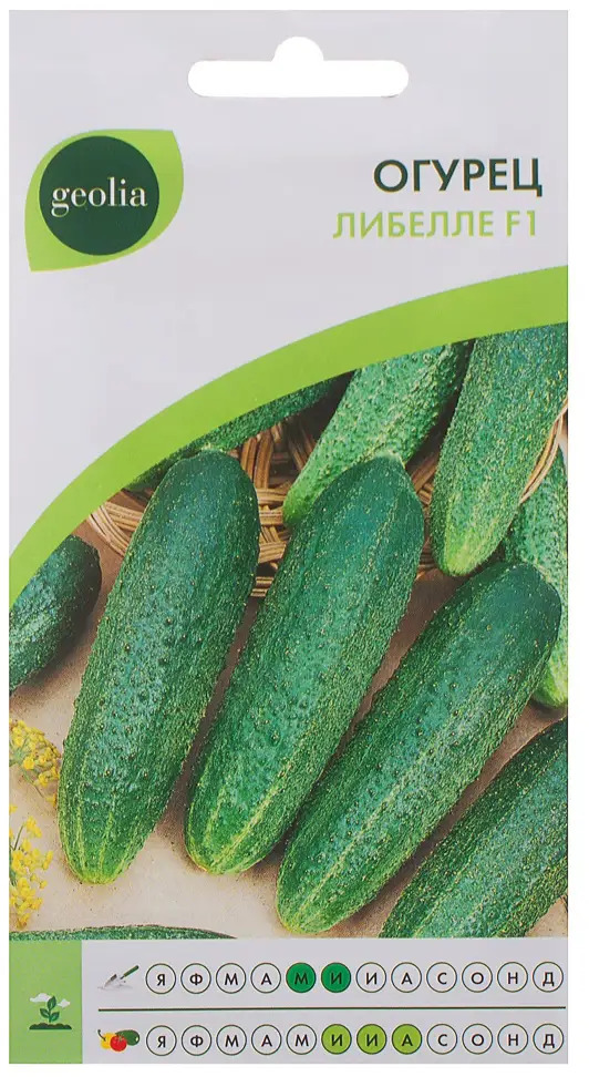 Семена огурца Geolia Либелле F1 - ранний урожай для засолки 17584858