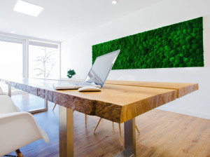 Растительная картина из мха