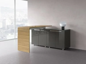 RENZ Высокий офисный шкаф из металла Lane