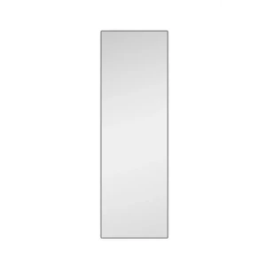 Santreyd: Дверь-зеркало Лион для модульного шкафа серый матовый 89354588