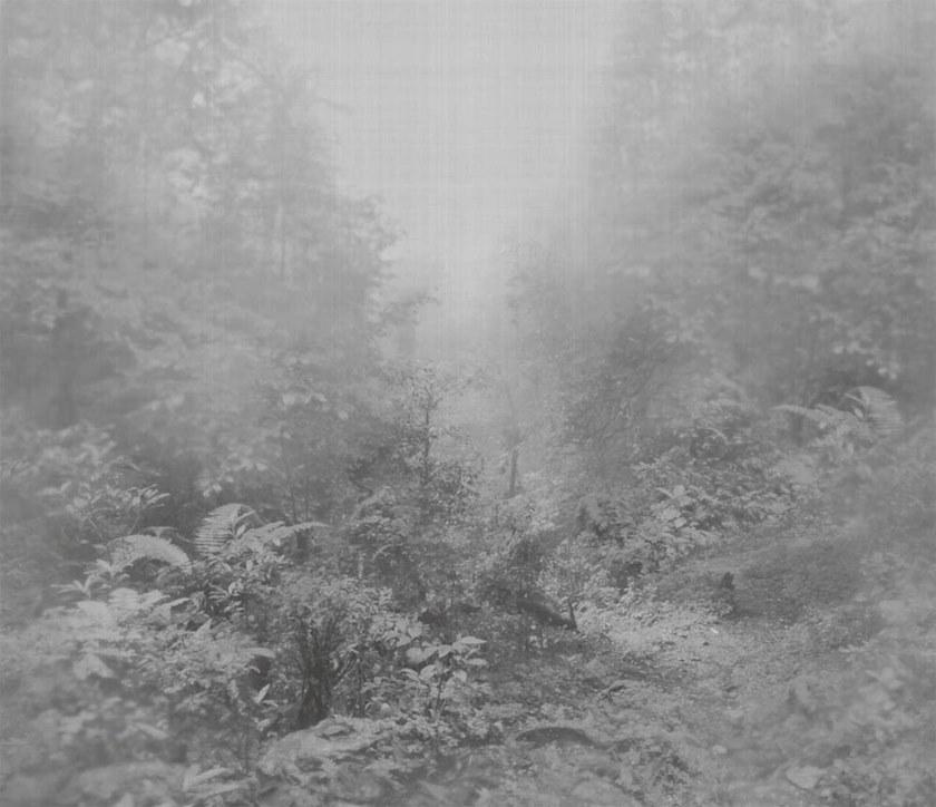 Jannelli&Volpi Флизелиновые обои Armani casa wallcoverings - precious fibers 2 sun-id-1380003 - Вид №2