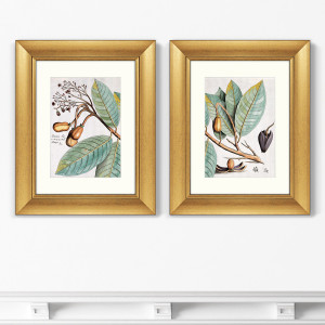 91277995 Картина «» Диптих Exotic plants of the world №5, 1815г. (II), (из 2-х картин) STLM-0532650 КАРТИНЫ В КВАРТИРУ
