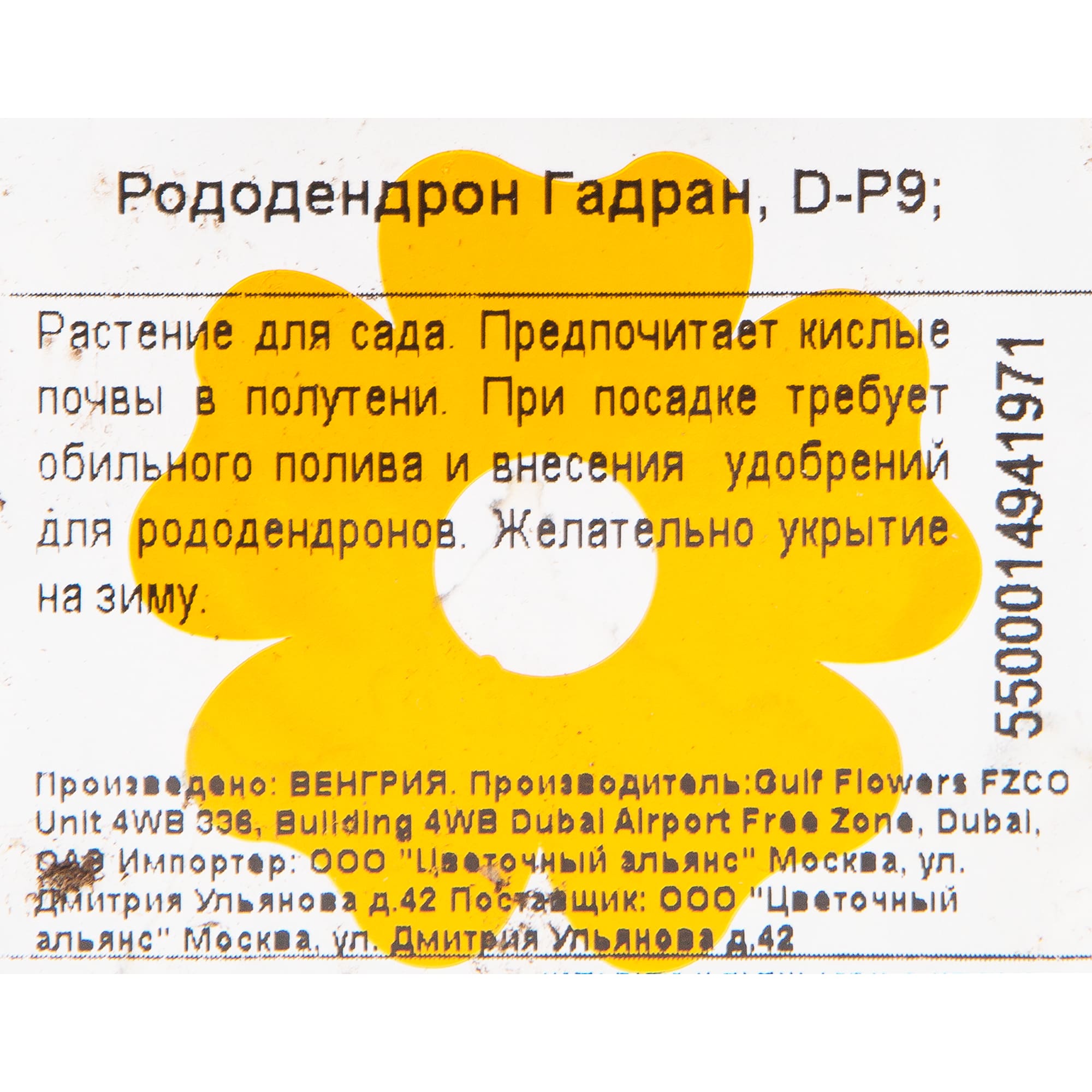 82601870 Рододендрон гибридный «Гадран» 9x20 см Santreyd  - Вид №1