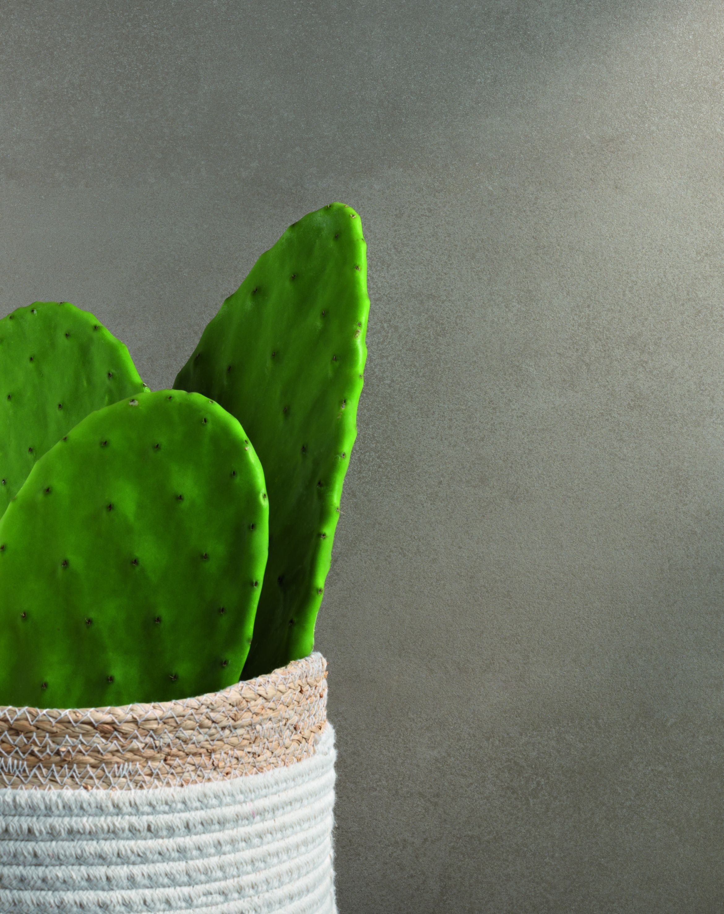 Пол / керамогранит FAP ceramiche Лето ARCH-00042915 - Вид №45