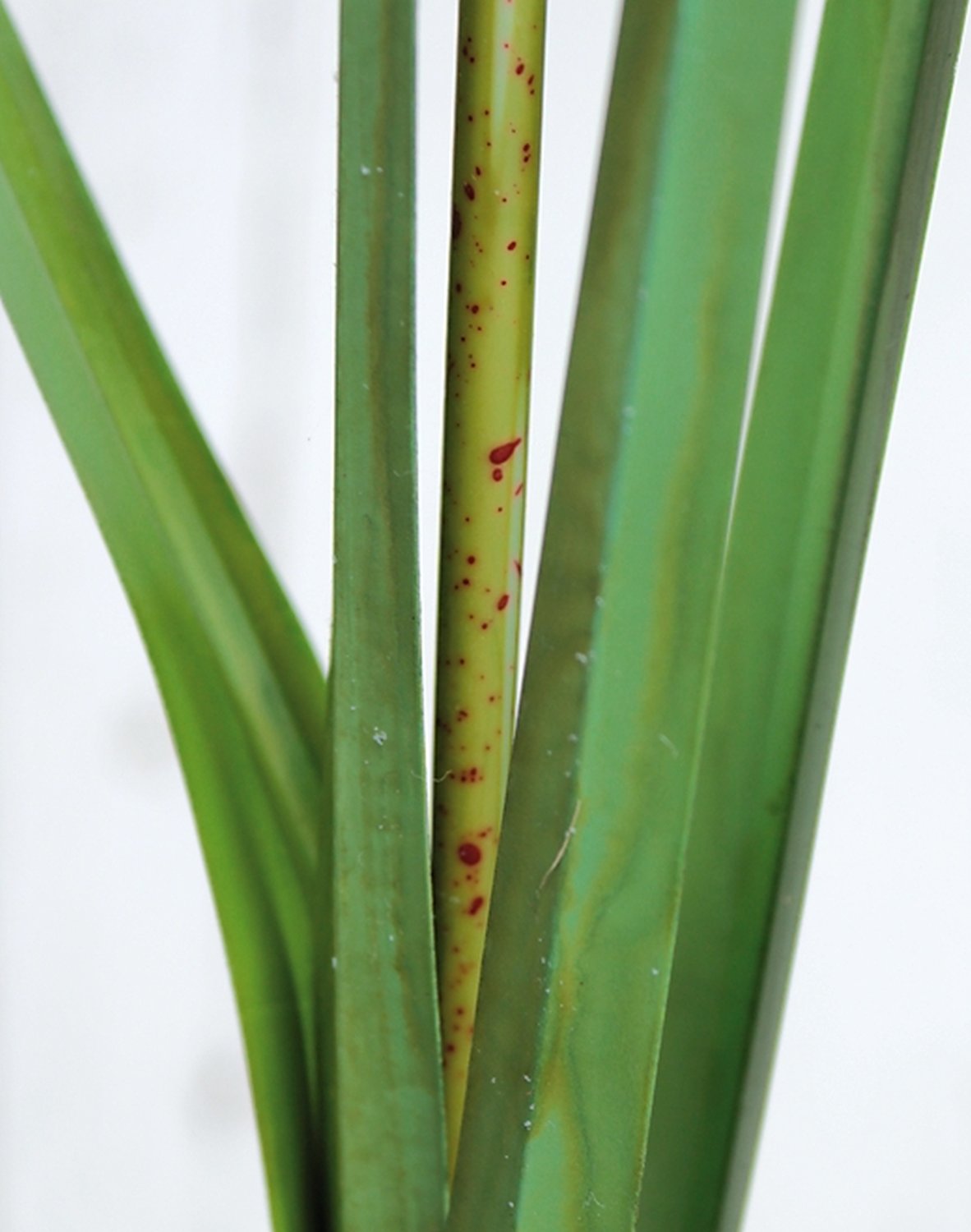 4538 883 a3 Стебель искусственной травы, 120 см, зеленый H-andreas 